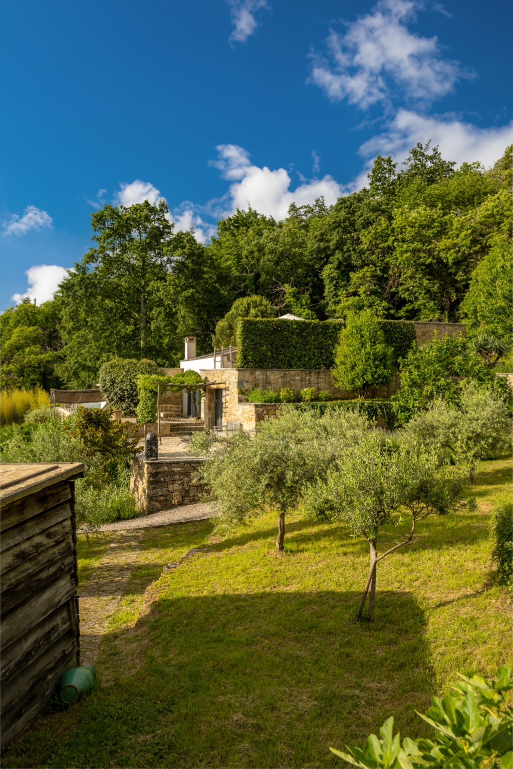 Villa Evelina Garten mit Olivenbäumen